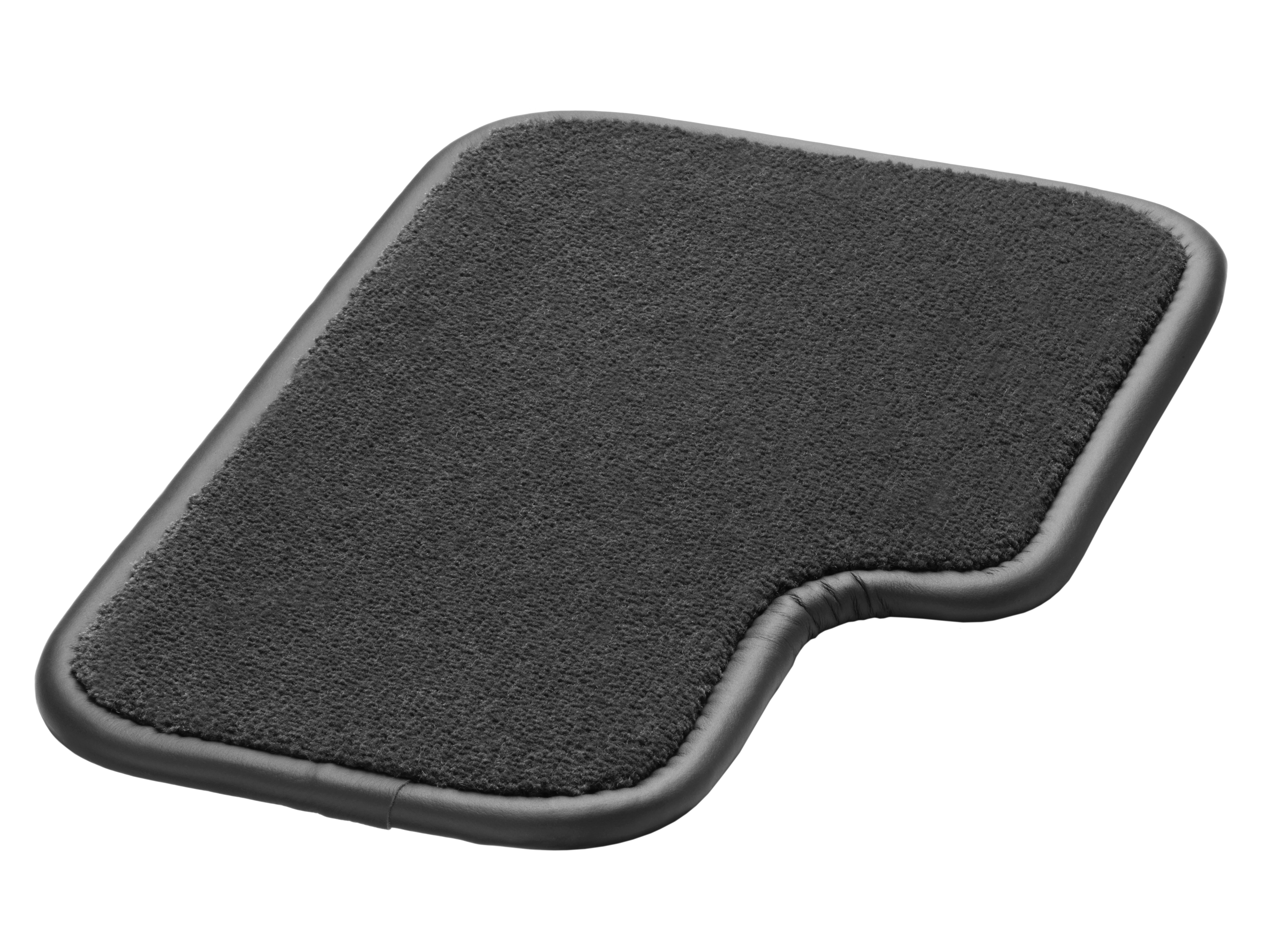 anthracite labrador